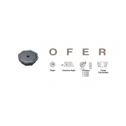                          OFER070405TN LT30                                             